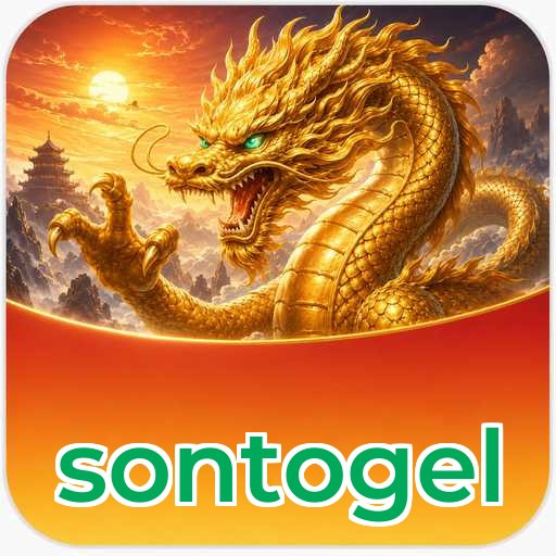 Audit profile sontogel